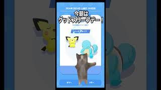 【猫ミーム】グッドスリープデーを楽しみにしていた猫【ポケモンスリープ】 #猫ミーム #shorts