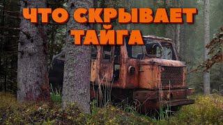 НАХОДКА В ТАЙГЕ. Что можно найти в лесах Горной Шории.