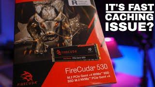 Firecuda 530 2tb SSD. It's Fast!!! But There is an Issue.