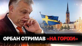 В ЄС ШОКОВАНІ поведінкою Орбана! Швеція ВИСЛОВИЛА своє незадоволення через його ВІЗИТ до Путіна!