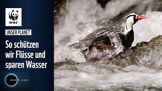 So schützen wir Flüsse und sparen Wasser | WWF Unser Planet