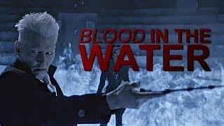 Gellert Grindelwald || Blood in the Water