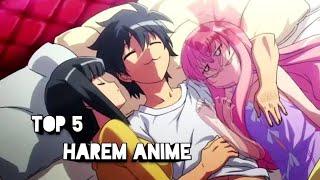 Top 5 English Dubbed Harem Anime | Best english dubbed Harem Anime