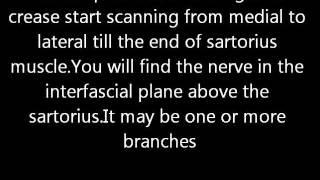 ultrasound guided lateral femoral cutaneous nerve block