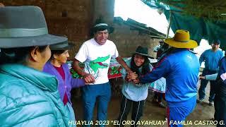 DIA  26   -   HUAYLIA 2023    EN HONOR AL NIÑO JESUS DEL ORO AYAHUAY  /  FAMILIA CASTRO GRANADOS