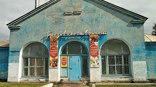 Магнитогорск, посёлок Димитрова, левый берег, Берёзки (03.08.2019)