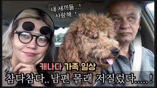 남편에게 효도하는 아내 - Toronto family Vlog #가족