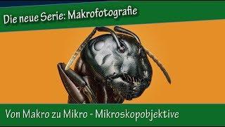 Makrofotografie: 7. Von Makro zu Mikro - Mikroskopobjektive