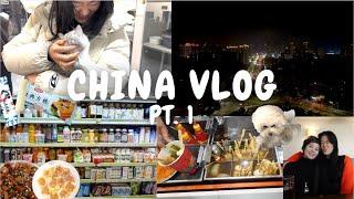 CHINA VLOG PT. 1  || kittens  || seeing family 🩷 || loads of food 