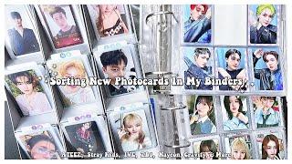 Sorting New Photocards In My Binders 81  ATEEZ,  Stray Kids,  IVE,  ZB1,  Nayeon, Cravity, & More