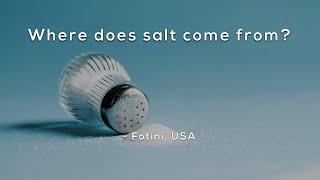 Where does salt come from?