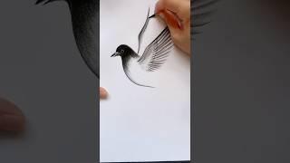 how to draw a realistic bird step by step for beginners..  #bird #drawing