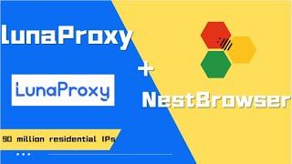 Lunaproxy cheap datacenter proxy and NestBrowser static proxy integration tutorial