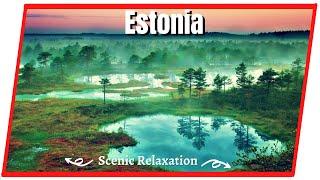 Estonia TV Background,Estonia Landscapes,Estonia Screensaver,Estonia Scenic Relaxation