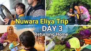 NUWARA ELIYA TRIP DAY 3 / Victoria Park /Fresh fruit & veg / Returning home / Naveenas's Tiny Tips