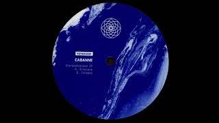 A. Cabanne – Erobique [YOYAKU001]