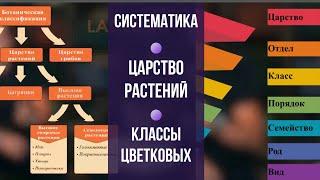 Систематика растений. Биология 6 класс. Царство растений. Классы Цветковых. Однодольные и двудольные