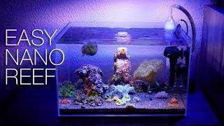 How To Clean A Nano Reef - The EASY Way!