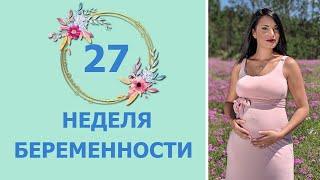 27 Неделя Беременности. Развитие плода и ощущения мамы