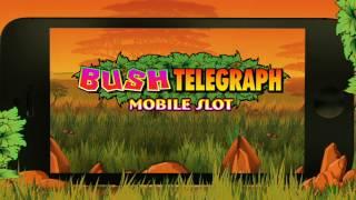 Microgaming Bush Telegraph Online Slot Game