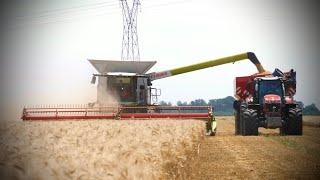 XL HARVEST in France   2x Lexion 8700 & NEW Perard X-FLOW 28 !!!