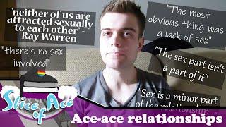 Ace-Ace Relationships - Asexual Relationships Part 1 | Slice of Ace