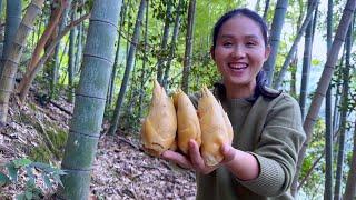 Big Harvest of Winter Bamboo Shoots! One Hearty Stew, Super Fresh and Delicious!