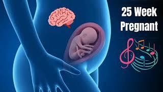 Music For Pregnancy After 25 week -  make baby smarter 