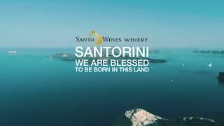 Santo Wines - Sharing our volcanic heritage