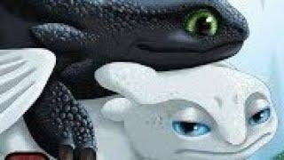 httyd  toothless and Light fury mating