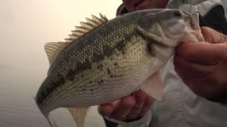 Late Winter Largemouth Bass - Scott Suggs - Season 3 Episode 10