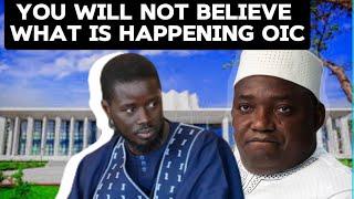 UNBELIEVABLE: GAMBIANS ARE SHOCKED BY THE OIC GAMBIA FRAUD ALLEGATION