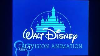 Walt Disney Television Animation/Disney Channel Original (2009)