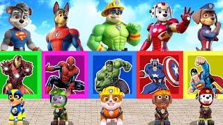 PAW Patrol CHALLENGE The Mighty Pups Wear Spider Man Style Beautiful or Error 5 Time Challenges