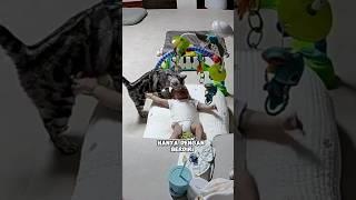 Momen mengharukan yang tidak sengaja terekam cctv,kucing cerdas dan siaga menjaga bayi pemiliknya️