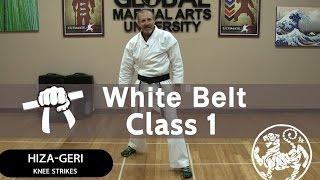 Shotokan Karate Follow Along Class - 9th Kyu White Belt - Class #1