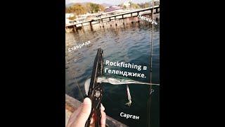 Rockfishing в Геленджике. Сарган, Ставрида, Ласкирь.