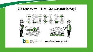 Die 14 Grünen Berufe – Tier- und Landwirtschaft