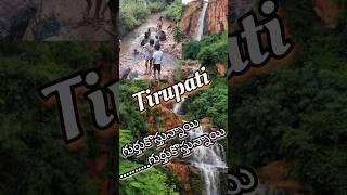 Jungle Book in Tirupati #youtubeshorts  #shorts  #tirumala #waterfall #nature  #childhood