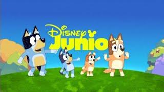 Disney Junior Poland - Continuity + Error (September 26, 2022)