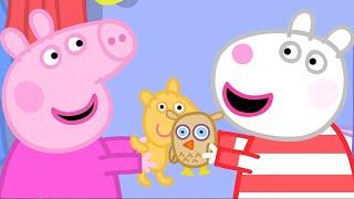 Sleepover Adventures and Musical Games  | Peppa Pig Full Episodes