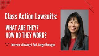 What is a Class Action Lawsuit? How a Class Action Lawsuit Works? | Interview with Berger Montague