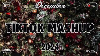 TikTok Mashup December 2024 (Not Clean)