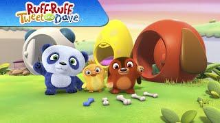  RUFF-RUFF, TWEET AND DAVE | VIDEOS and CARTOONS FOR KIDS