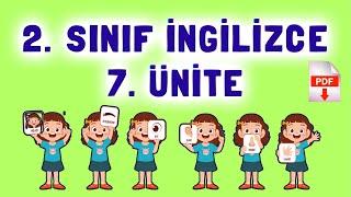 2. Sınıf İngilizce 7. Ünite Kelimeleri Konu Anlatımı | Body Parts