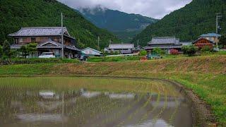 Walking Freshly Flooded Rice Fields in Mountain Village | Tanakama, Japan 4K Rural Ambience