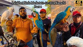 Lalukhet Exotic Birds Market 22-12-24 Karachi Latest Updates Part 1 | Hen and Rooster Unique Birds