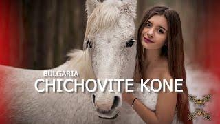 " CHICHOVITE KONE " Bulgaria -  Oriental x Balkan x Arabic x Reggaeton x Trap x Dancehall ( Remix )