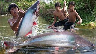 Primitive Wildlife - Cacth Big Fish Near the River - Eating delicious