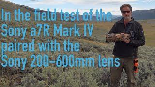 In The Field Review of the Sony a7R Mark IV paired with the Sony 200-600mm Zoom Lens